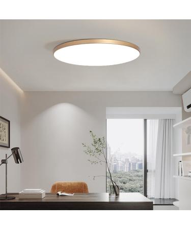 Mengjay 40W Dimmable LED Ceiling Lamp - Ultra Thin Round Panel Light for Living Room Kitchen Kids Room Bathroom & Balcony | 3000K-6000K Gold Finish - Buy Online on GoSupps.com