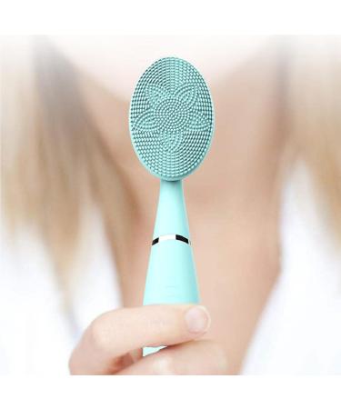 dijiusidy Face Cleansing Brush Vibrating Washing Brushes Hand-Held Rechargeable Beauty Skin Massager Salon Shop Instrument - Buy Online on GoSupps.com