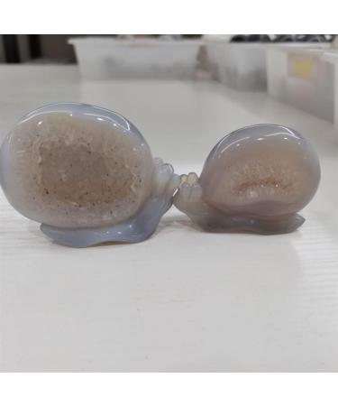 Room Decoration Home Decor Snail Natural Nao Amethyst Crystal Cluster Stone Specimen Home Crafts Decoration Gift Geode Gifts Natural Crystal Draw yuebang - Buy Online on GoSupps.com