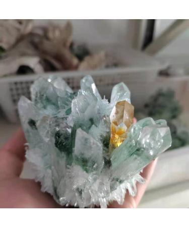 Natural Crystal Rough 1pc Natural Green Phantom Quartz Crystal Cluster Yellow Citrine Stone Ornaments 300G-900G for (Color : 1pc570g-640g Size : 1PC) 1PC 1pc570g-640g - Buy Online on GoSupps.com