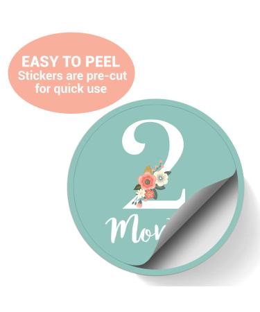 Floral Baby Monthly Milestone Stickers for Newborn Girl | Set of 24 Baby Girl Month Stickers - Buy Online on GoSupps.com