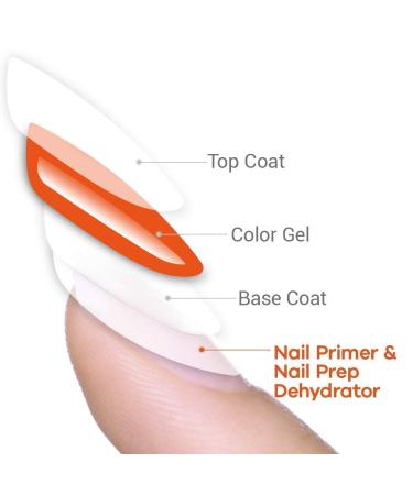 Modelones 3Pcs Gloss Top Coat Nail Primer & Prep Dehydrator Set - Buy Online on GoSupps.com