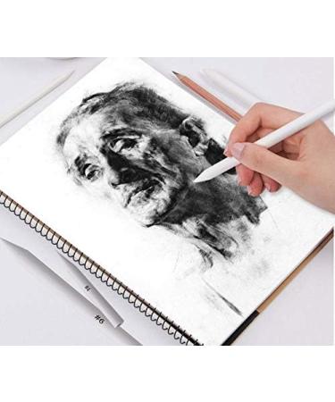 Blending Stumps and Tortillions Set with 2 Pieces Sandpaper Pencil Sharpener  1 Eraser Sketch for Student Sketch Drawing kit (6 pcs +4) - Buy Online on GoSupps.com