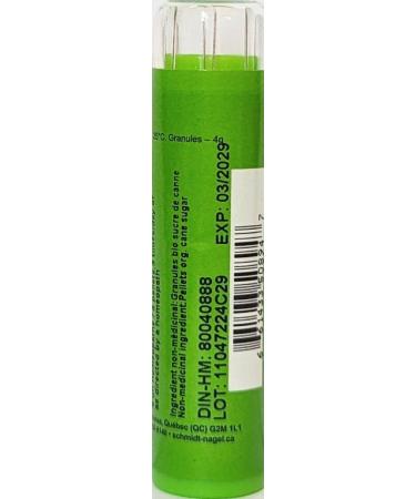 Psorinum MK (1M) Homeopathy - Schmidt-Nagel Canada 90 Pellets/Granules | Buy Online for International Shipping - Buy Online on GoSupps.com