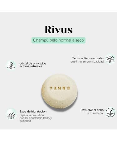 BANBU Normal To Dry Hair Shampoo 75 Gr - Buy Online on GoSupps.com