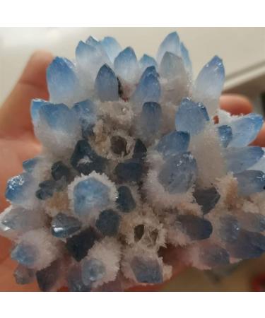 Home Decoration 400-700g Rare Beautiful Blue Ghost Phantom Quartz Crystal Cluster Specimen Stones ZJGIDTEM (Size : 500-600g) - Buy Online on GoSupps.com