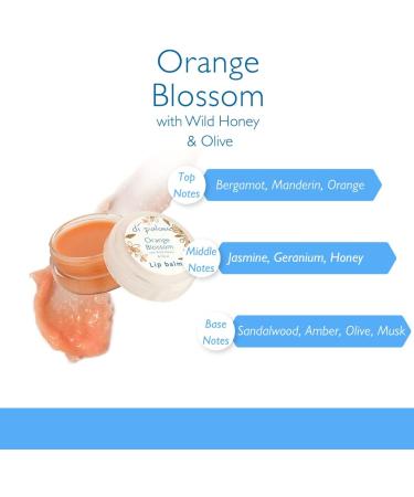 Di Palomo - Orange Blossom - Lip Balm 10 ml - Buy Online on GoSupps.com