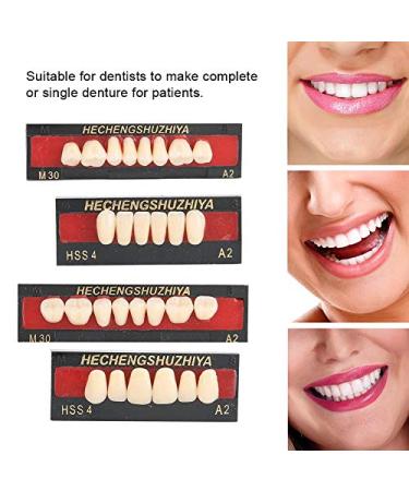 High-Quality Synthetic Resin False Teeth | Dental Prosthesis for Oral Care | Upper & Lower Dental Material - Buy Online on GoSupps.com