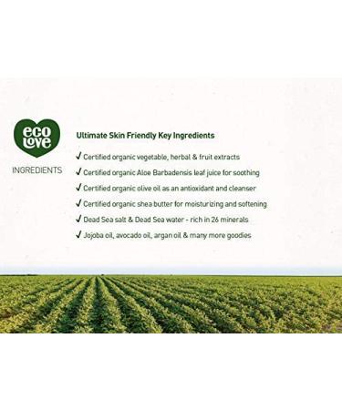 ecoLove Natural Shampoo for Dry & Color-Treated Hair - Vegan, SLS & Paraben-Free, Organic Carrot & Pumpkin Extract, 17.6 oz - Buy Online on GoSupps.com