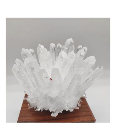 Natural Crystal Rough 1pcs Natural Raw Quartz White Clear Crystal Cluster Stones Crystal Point Home Decoration Raw Crystals Mi (Size : 700-800g)