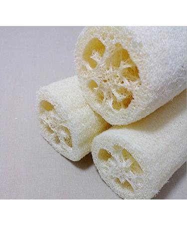 5x Demarkt Natural Loofah Luffa Cucumber Sponge - 10cm Natural Fiber Bath Sponge for Exfoliation | International Shipping Available - Buy Online on GoSupps.com