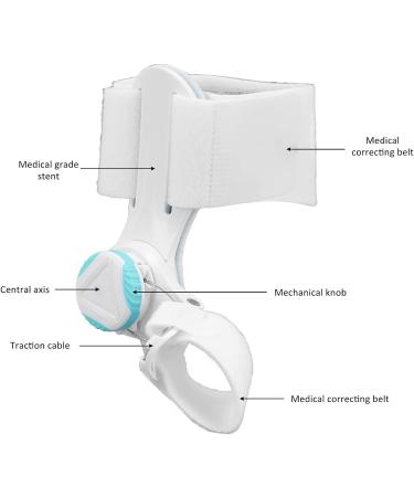Pyhodi Foot Bone Toe Separator Splint - Orthopedic Training Aid for Toe Corrector and Alignment - Buy Online on GoSupps.com