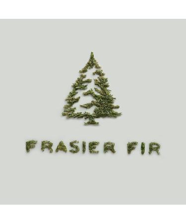 Thymes Luminary Frasier Fir Candle - Luxury Pine Scented Candle for Home Decor & Bath - 20 Oz Silver Candle - International Shipping Available - Buy Online on GoSupps.com