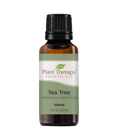 Plant Therapy Tea Tree Essential Oil 100% Pure Undiluted Natural Aromatherapy Therapeutic Grade 30 mL (1 oz)