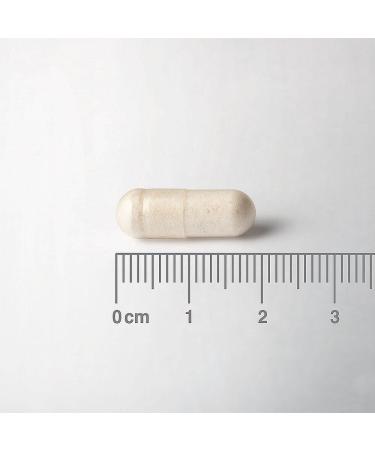 Lamberts Biome Balance Travel Capsules Digestive Support While Traveling Four Live Bacterial Strains Vegan Sustained Release Formula 30 Capsules - Buy Online on GoSupps.com