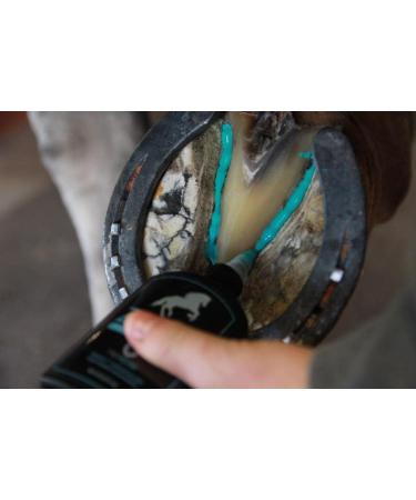 Zomp Liquid Hoof Thrush and White Line Treatment for Horses - 6 Fl Oz. - Buy Online on GoSupps.com