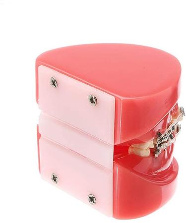Buy Model Doll-10 Orthodontic Braces for Adults | Ceramic Demonstration Teeth | Mobile Medical Science & Teaching Research - Buy Online on GoSupps.com