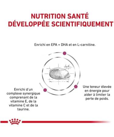 Royal Canin Veterinary Diet Dog Food Cardiac Adult 2 Kg - Buy Online on GoSupps.com