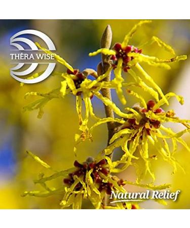 Thera Wise Hemorrhoid Cream & Ointment - Natural Pain Relief 1 oz | Fast International Shipping - Buy Online on GoSupps.com