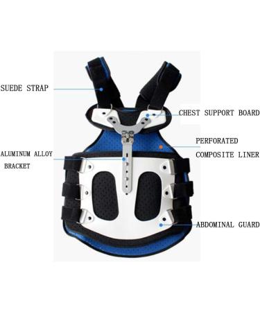 Dameco Lumbar Spine Orthosis - Breathable Thoracolumbal Bracket for Men & Women | Lightweight & Comfortable Support - Buy Online on GoSupps.com
