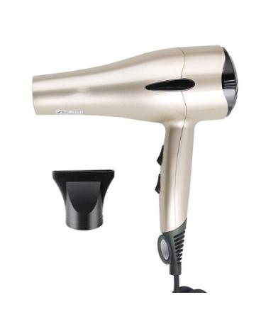 Professional Negative Ionic Salon Hair Dryer 2200W Powerful DC Motor 2 Speeds 3 Heat Settings with Collecting Nozzle Low Noise Hairdryer Constant Temperature Technology for Hair Salon Men and Women