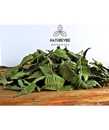 Naturevibe Botanicals Neem Capsules 180 Veg | Herbal Supplement for Healthy Skin | 600mg Per Serving - Buy Online on GoSupps.com
