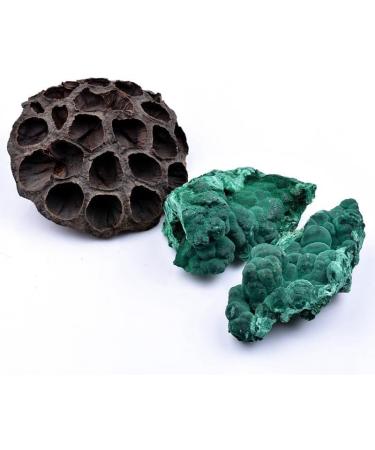 Natural Raw Rough Malachite Stone Quartz Crystal for Collection Gift 1pcs Full of Texture - Buy Online on GoSupps.com