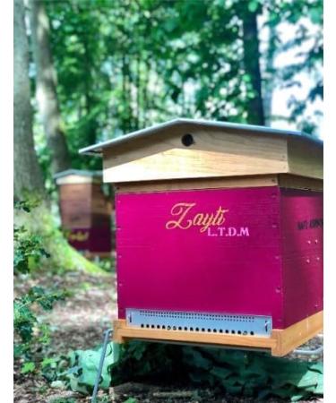 Miel Rose de Rosier Sauvage de Russie 160g | Un Tr sor Rare et Unique de l Alta  - Buy Online on GoSupps.com