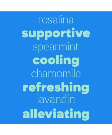 Plant Therapy Kids Cool Comfort Pre-Diluted Essential Oil Roll-On Blend 10 mL (1/3 oz) Relaxation Cooling Comfort Seasonal Wellness Calming Aromatherapy for Kids - Buy Online on GoSupps.com