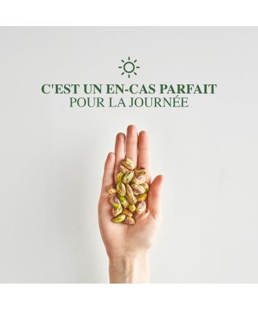 PISTAMED - Pistaches pel s - Sans sel - Torr faction artisanale - Riche en fibres - R gimes v g tarien et v g talien - Contenu : 3 5 kg (100 sachets de 35 g) Sans coque 100 sachets - Buy Online on GoSupps.com
