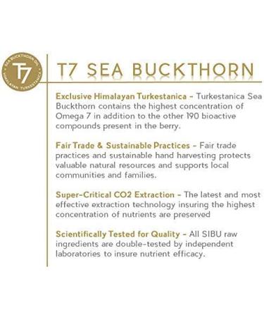 Age-Defying Eye Cream with Sea Buckthorn Oil | Sibu Beauty Sea Berry Therapy 0.5 fl oz - Buy Online on GoSupps.com