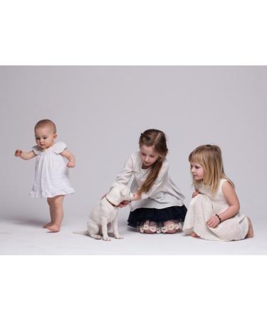 100% Baltic Amber Dog Necklaces & Collars - Natural Tick Protection for Cats & Dogs | Premium Raw Amber from Lithuania - Buy Online on GoSupps.com