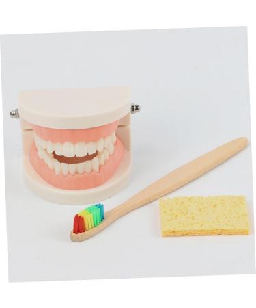 Shop Minkissy 3 Sets Early Dental Education Toys - Preschool Toiletries Puzzle & Abs Reusable | International Shipping Available - Buy Online on GoSupps.com