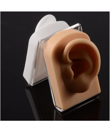 3 Pc Silicone Ear Model - Simulation Artificial Ear Model - for Hearing Aids Wearing & Ear Canal Products Display Right - Buy Online on GoSupps.com