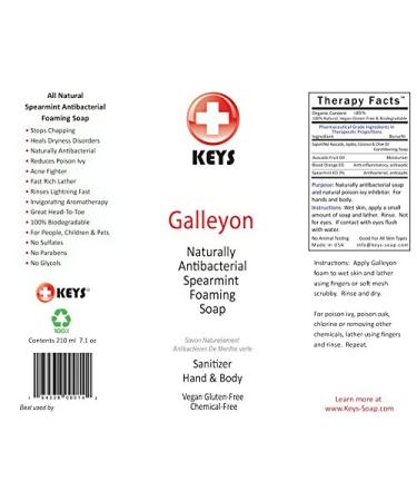 Keys Galleyon All Natural Antibacterial Foaming Spearmint Castile Soap - 100% Biodegradable Hand & Body Sanitizer for People Kids & Pets | Vegan & Gluten Free - 7.9 oz - Buy Online on GoSupps.com