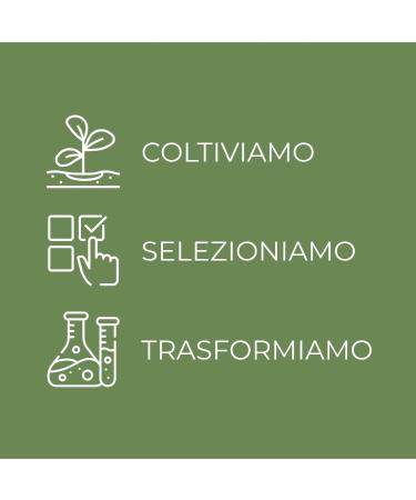  Bottega Verde Bottega Verde SOL Sempre Estate - Self-tanning face cream with papaya and mango extracts (50 ml) - golden and natural complexion all year round - Buy Online on GoSupps.com