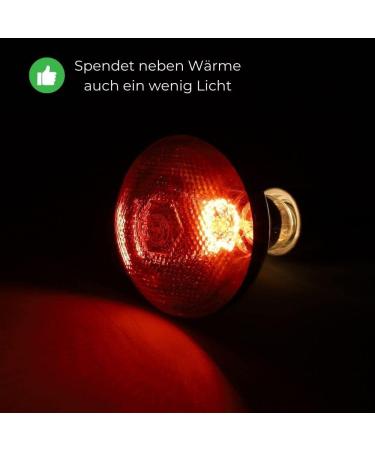 GarPet 100W Infrared Heat Lamp for Animals - Red Light Bulb for Poultry Terrariums & Pets - Buy Online on GoSupps.com