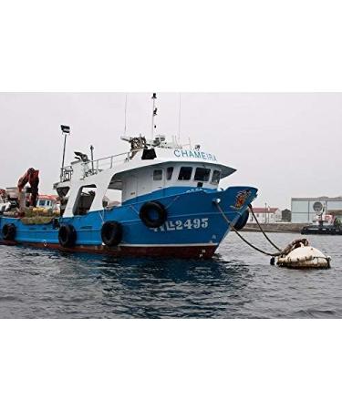 Hoya Santo a Marinated Mussels - Pack of 5 cans of 112g/8-12 pieces (560g/40-60 pieces). Gourmet preserve of medium marinated mussels from Galicia. - Buy Online on GoSupps.com