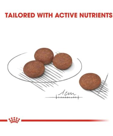 ROYAL CANIN Mini Digestive Care - 3kg Poultry 3 kg (Pack of 1) - Buy Online on GoSupps.com