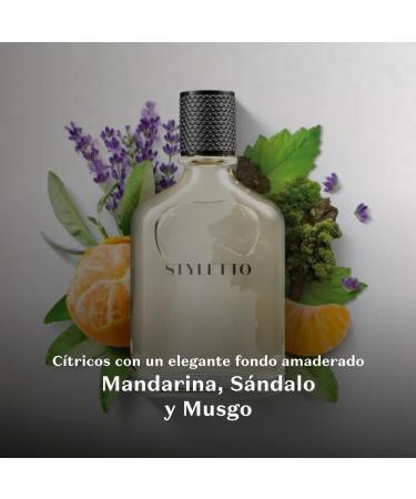 Styletto Eau de Toilette Long-Lasting Fragrance Cologne for Men Woody 3.4 Ounce - Buy Online on GoSupps.com