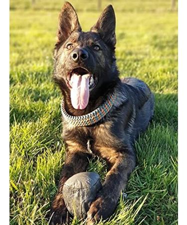 Dingo Gear Soft Real Leaderball with Handle - 11 cm Dog Toy for Retrieving & Rewarding | International Shipping - Buy Online on GoSupps.com