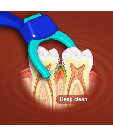 TEEsmile Evolutionary Clean Dental Flossers Kit - 2 Mid-Length Handles + 200 Extra Strength Refills | 202 Piece Set - Buy Online on GoSupps.com