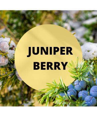 Black Canyon Juniper Berry Scented Body Spray with Jojoba Oil 1 Gal (2 Pack) - Buy Online on GoSupps.com