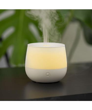 Aroma Labs Diffuser Rosae - Premium Aroma Humidifier for Home & Office - International Shipping Available - Buy Online on GoSupps.com