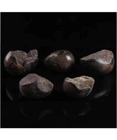 Collection 1pc 800g-1000g Natural Septarian Stone Crystal Geode Egg for Decoration (Color : 1PC 800g-900g) - Buy Online on GoSupps.com