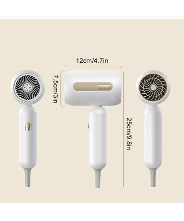 twcrvil Powerful Hair Dryer For Fast And Efficient Blow Dry Professional Hair Dryer Electric Hair Dryer Chaison Hair Dryer Quiet white - Buy Online on GoSupps.com