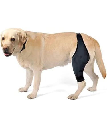 Angoily Knee Pads Dog Acl Dogs Knee Dog Leg Cover Pet Injury Supply Bracket Hind Legs Puppy S As Shown - Buy Online on GoSupps.com