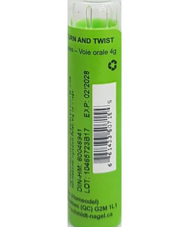 Veratrum Album 200K Homeopathy Medicine Schmidt-Nagel Canada (Homeodel) 90 pellets/granules - Buy Online on GoSupps.com