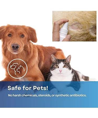 MEDIQUICK Wound Hydrogel Spray 4oz Bottle - First Aid Ointment for Cuts & Burns - Buy Online on GoSupps.com