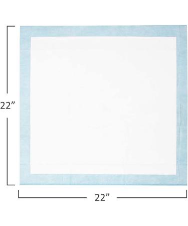 BV Pet Puppy Training Pads | Quick Absorb 22x22 Training Pads | Disposable Dog Pee Pads | 50/100/600 Count - Buy Online on GoSupps.com